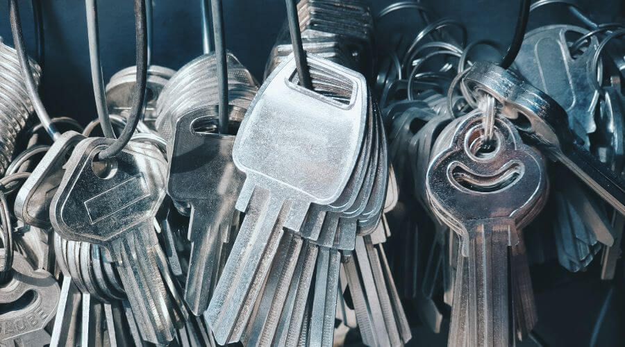 Professional gutter cleaning in Universal City, TX